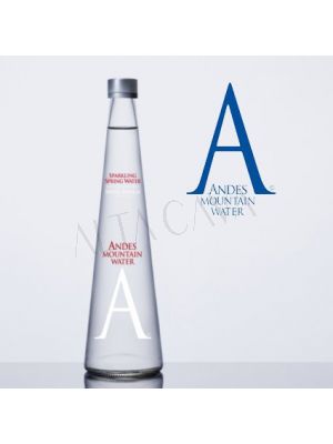 Andes Mountain Agua Mineral Sparkling 500cc 